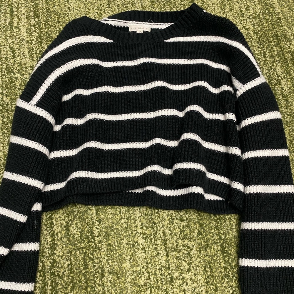 cropped pacsun sweater
